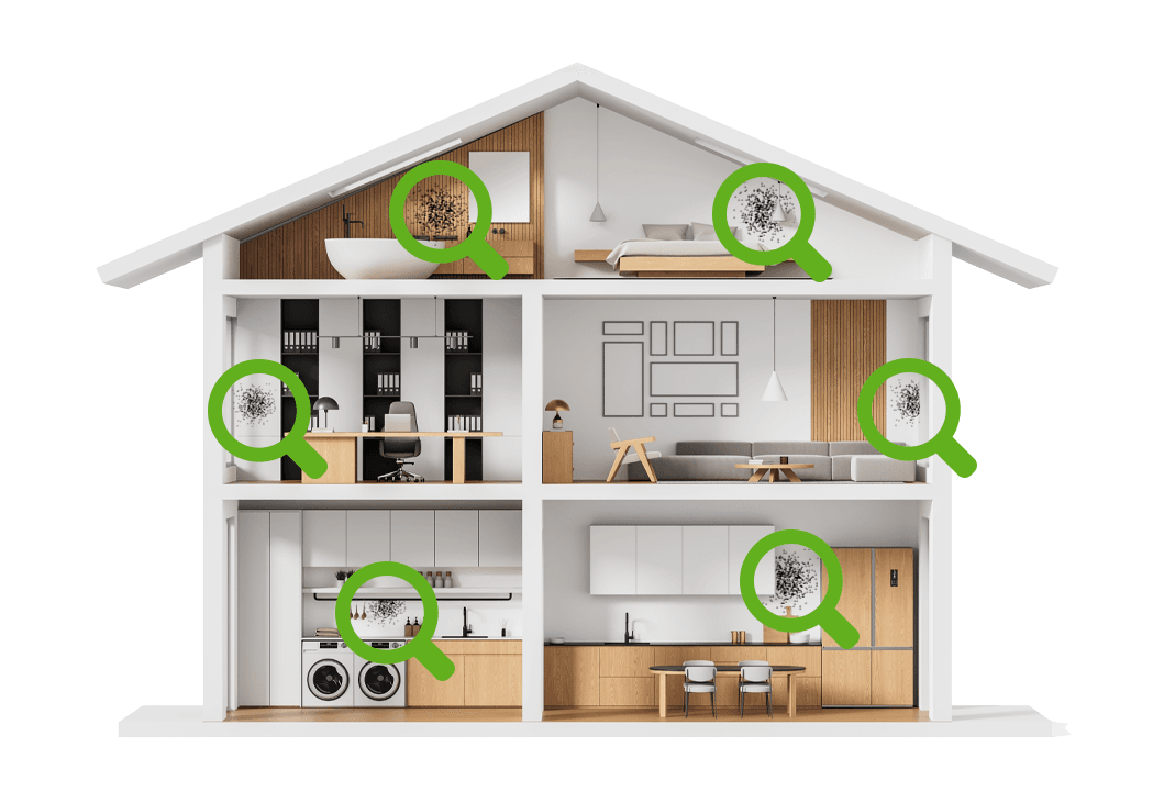 House showing the places dangerous hidden molds appear in homes.