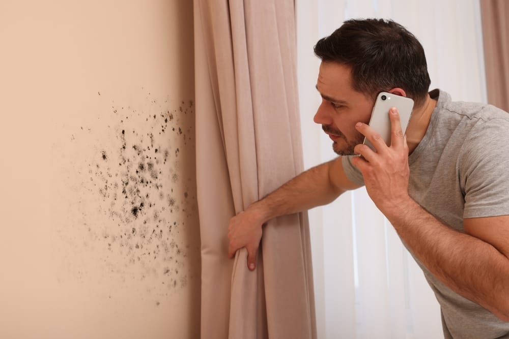 Dallas-Fort Worth mold inspection.