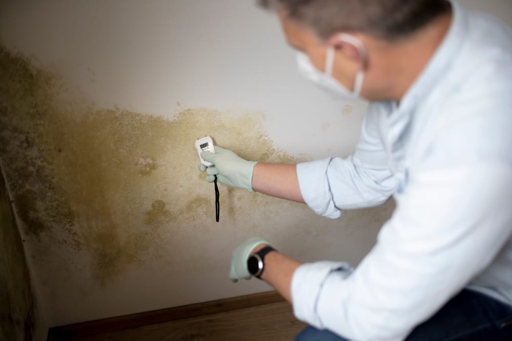 Dallas-Fort Worth residential mold testing.