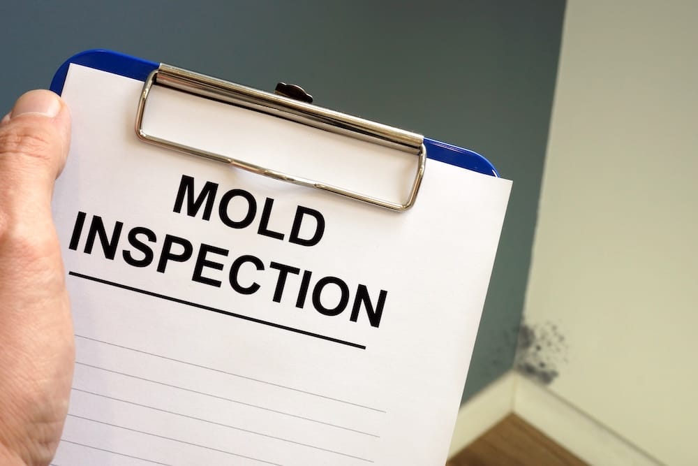Professional mold inspection services for business owners.
