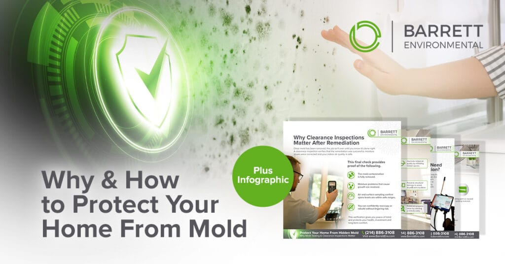Why & How to Protect Your Home From Mold, Plus Infographic – Barrett ...