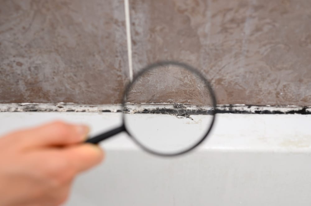 Professional mold inspection services in Dallas–Fort Worth.