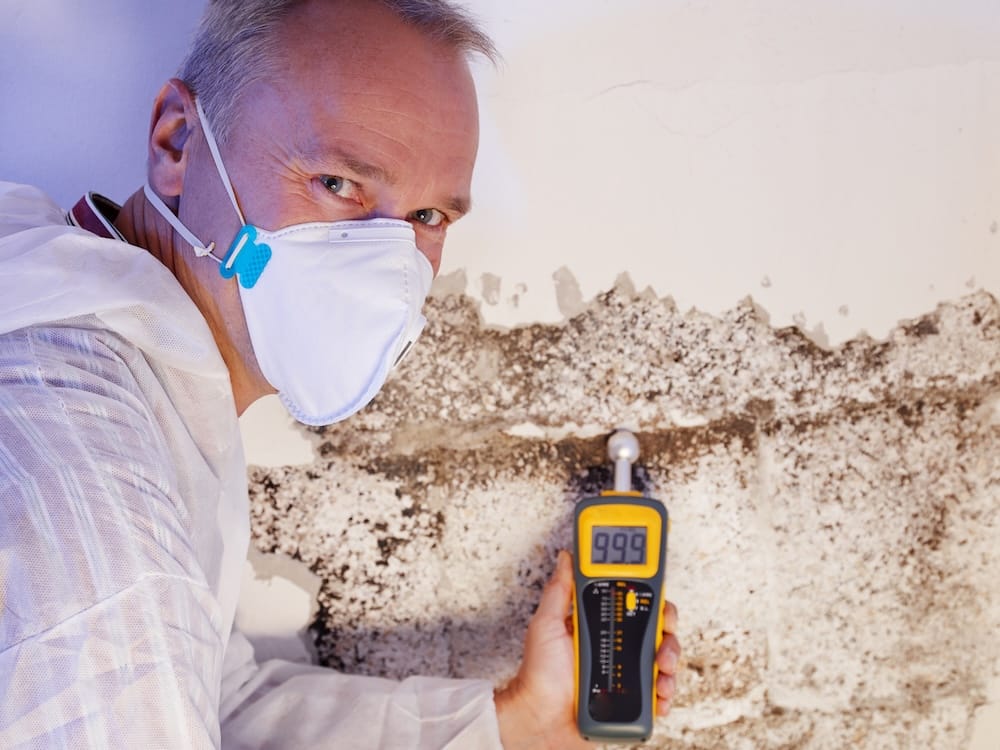 Certified mold inspection company near me.