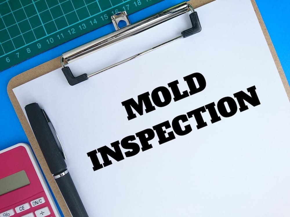 Mold clearance inspection for businesses.