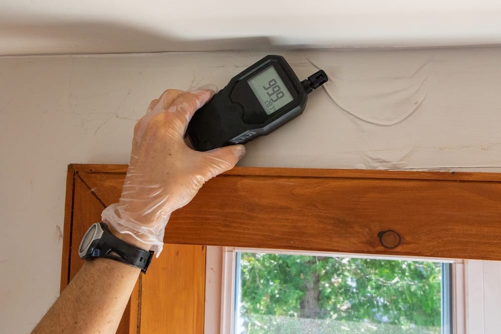 Residential mold inspection services.
