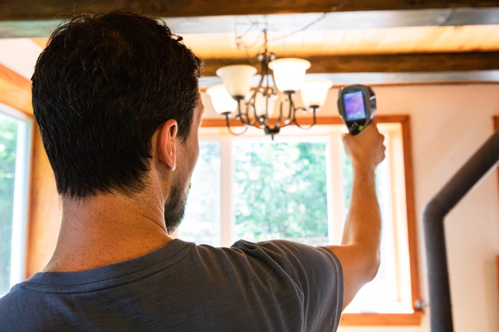 Professional mold inspection services.